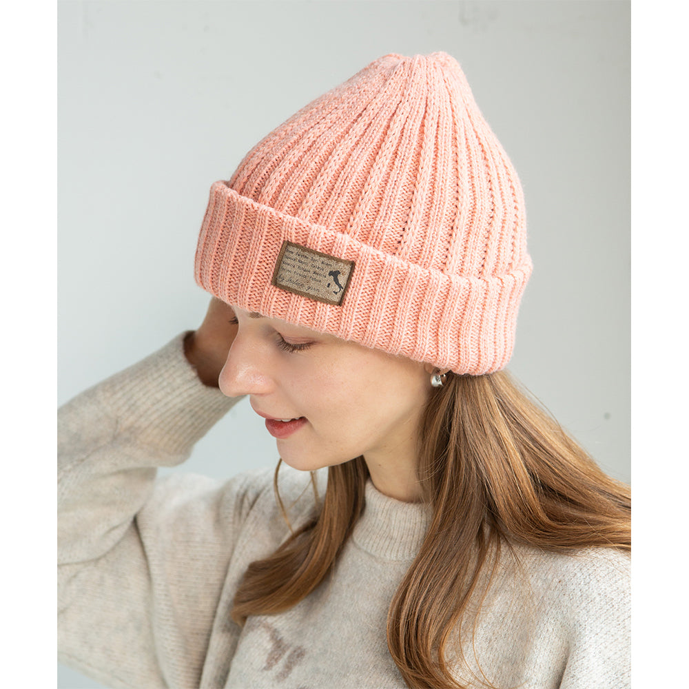 変則リブワッチ