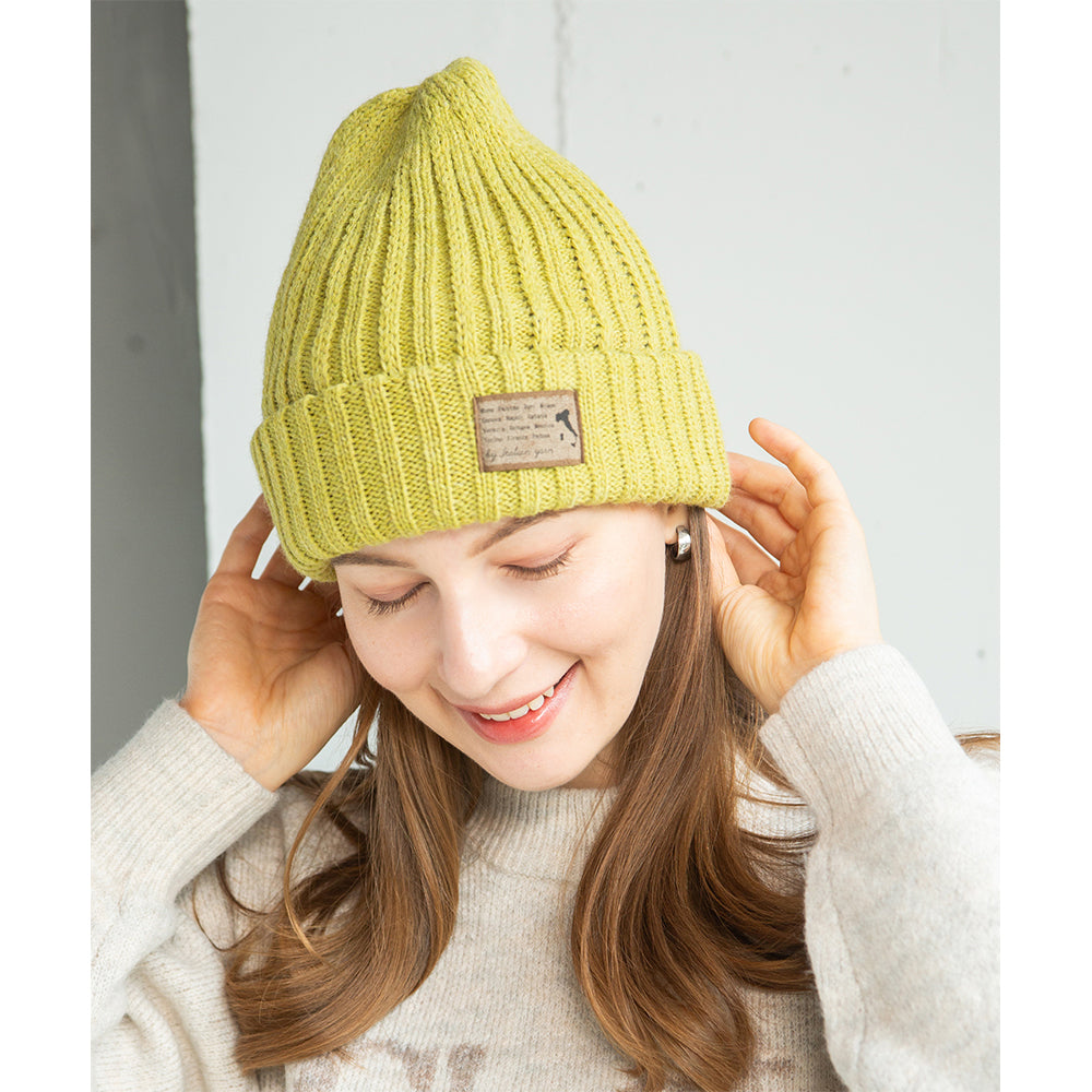 変則リブワッチ