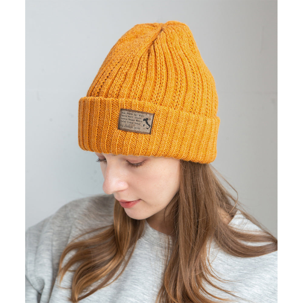 変則リブワッチ